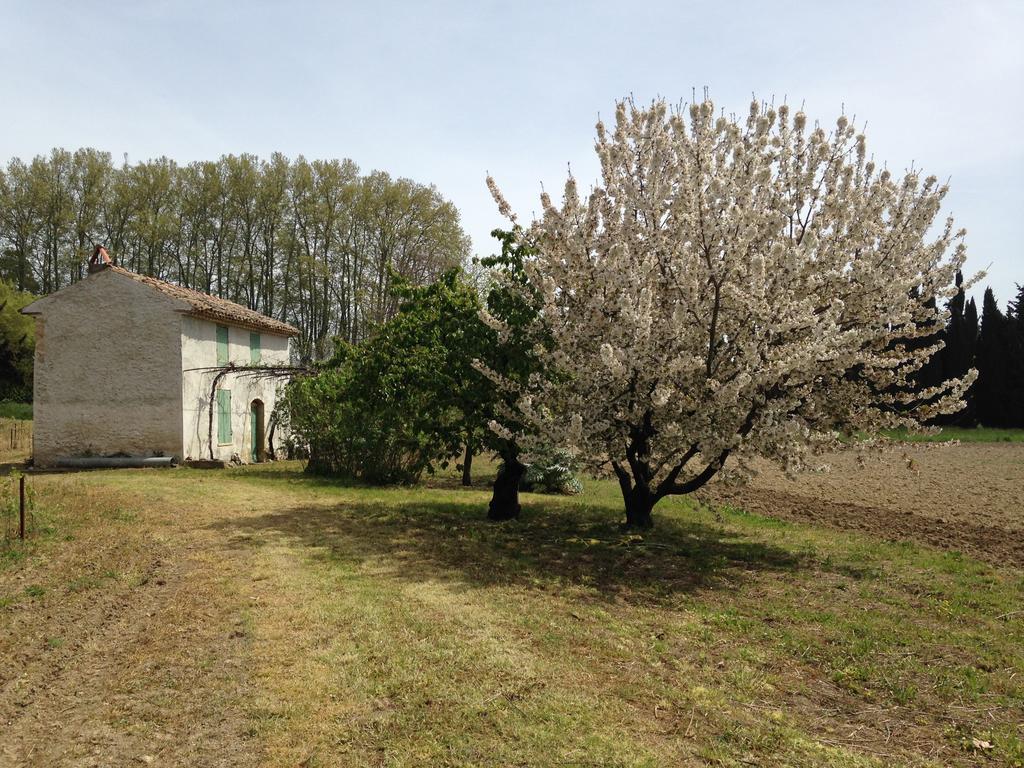 La Maison Du Peintre En Provence Малмор Екстериор снимка